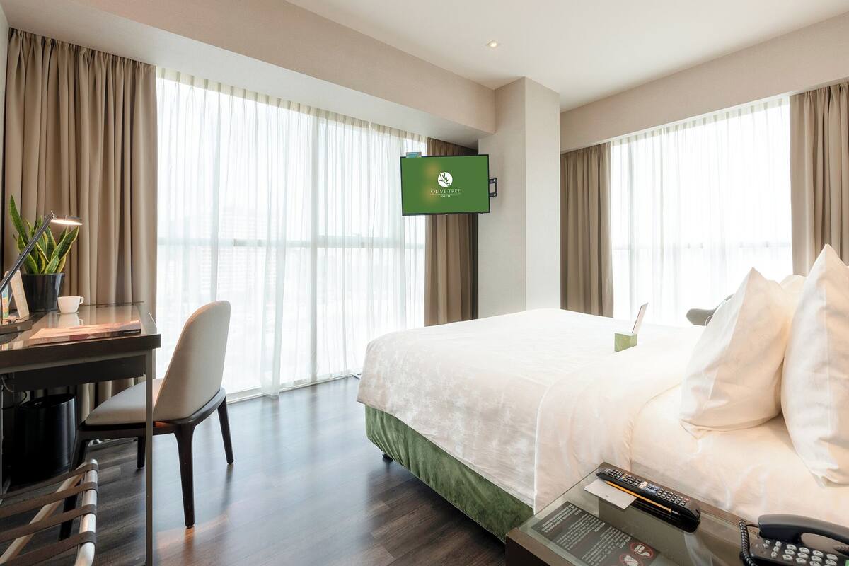 A hotel room with a bed, a desk, a chair, a TV, and a plant.