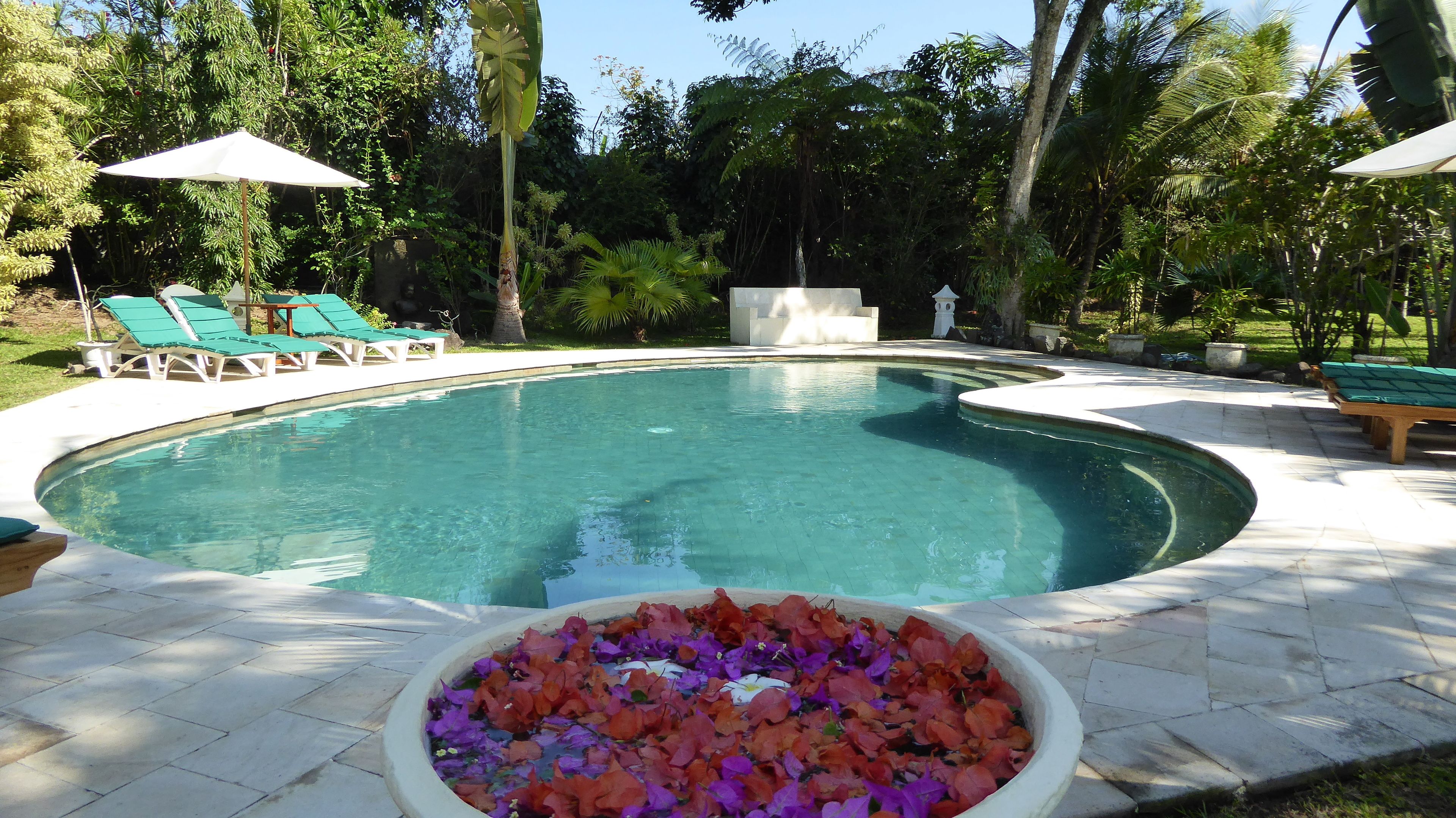 Outdoor pool, sun loungers