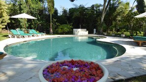 Outdoor pool, sun loungers