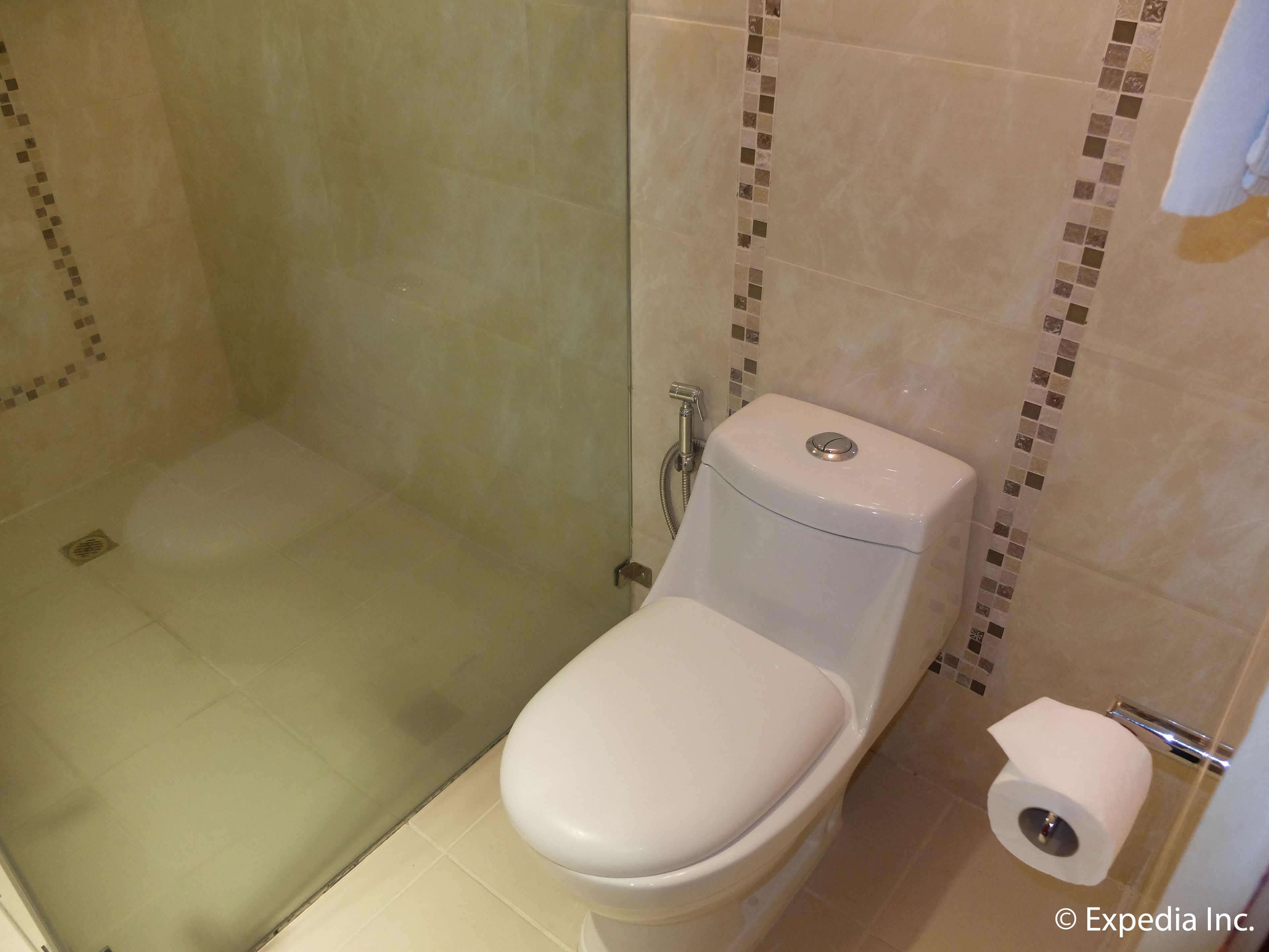 Ein Badezimmer mit Toilette, Dusche und Toilettenpapierhalter.