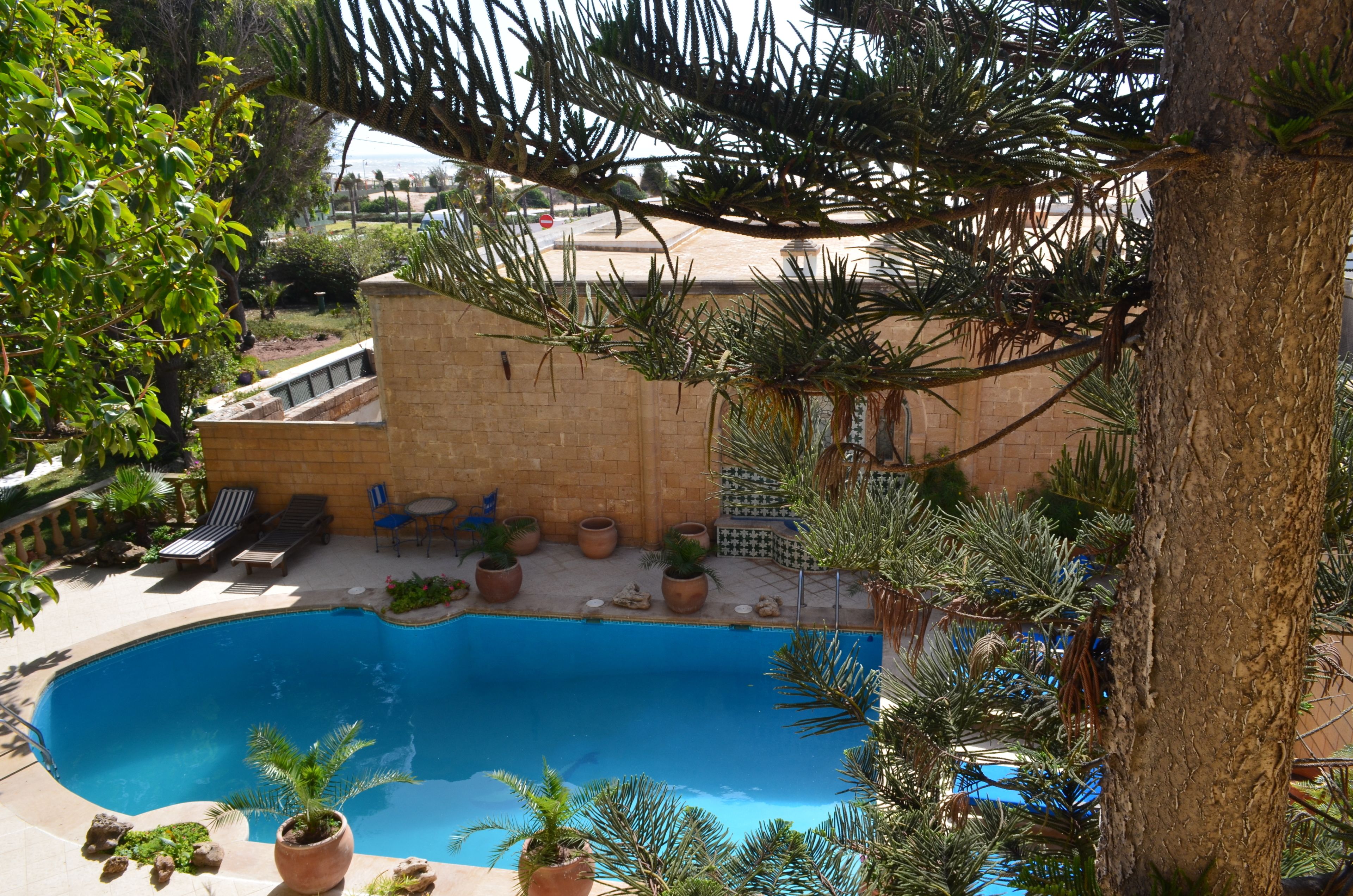 Una piscina rodeada de plantas en macetas y mobiliario de exterior.