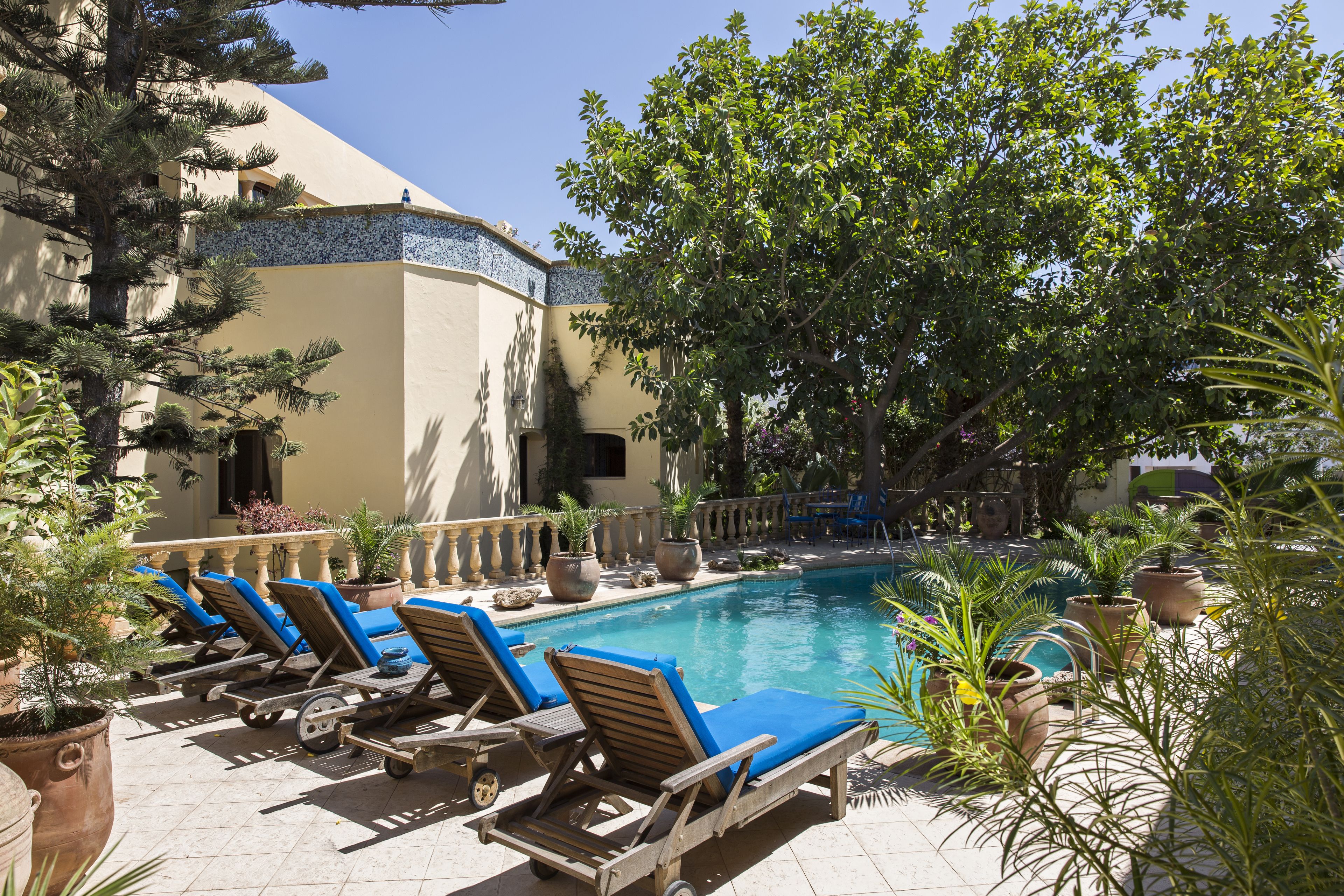 Un espace aménagé au bord de la piscine, avec des chaises longues et des plantes en pot.
