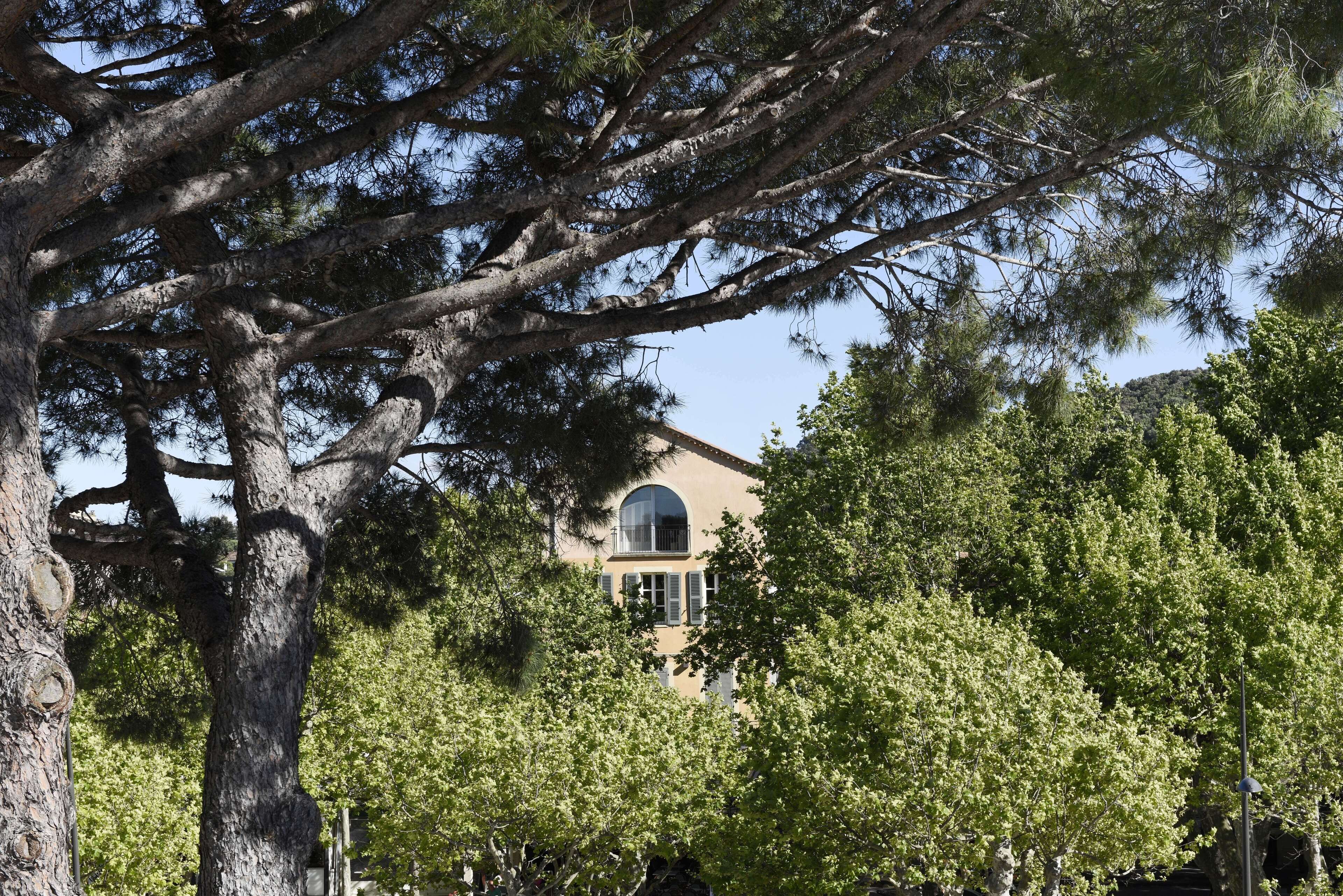 suite 4  | view from room