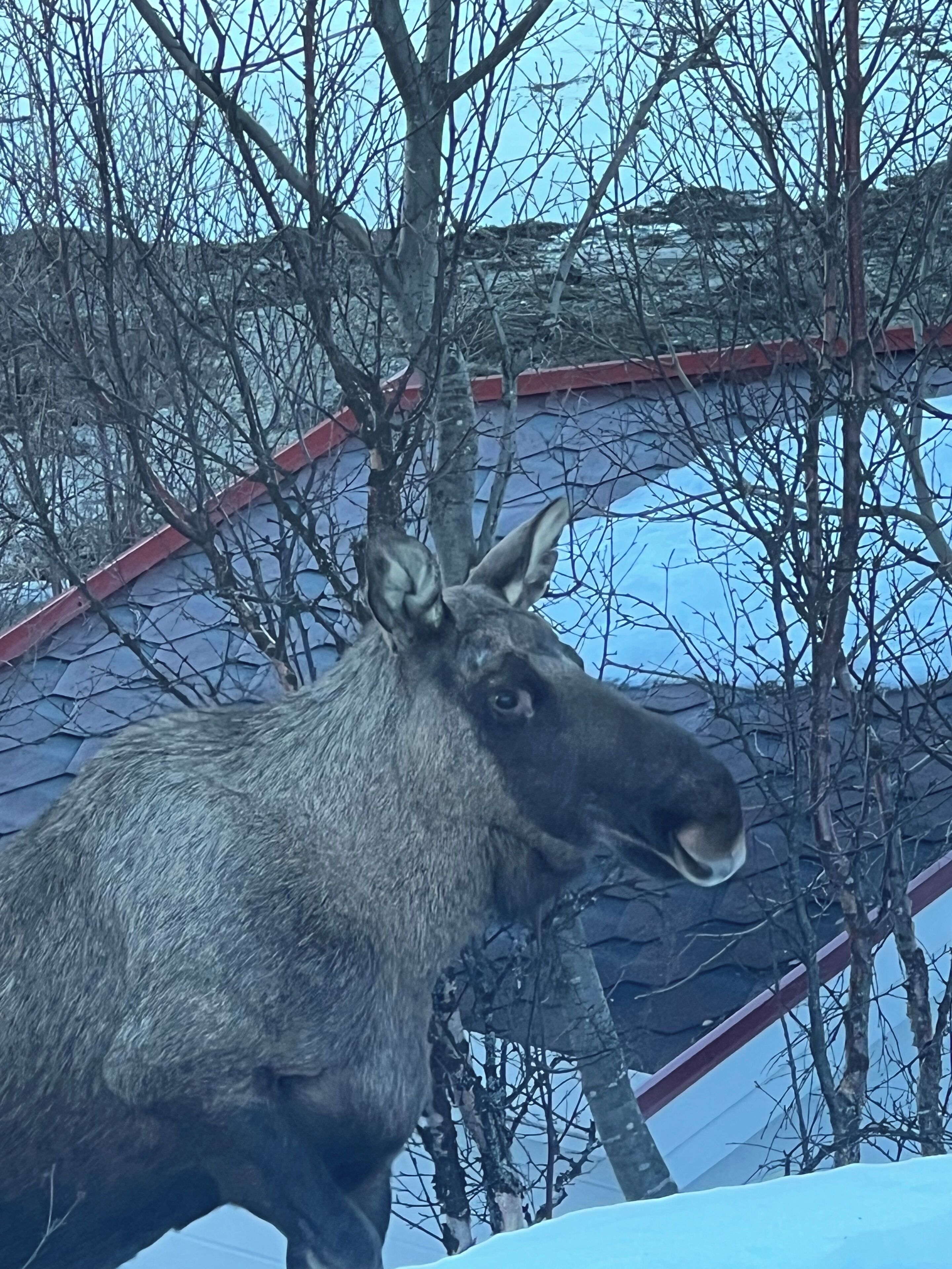 Appartamento Exclusive | Biancheria da letto di alta qualità, materassi a doppio strato
