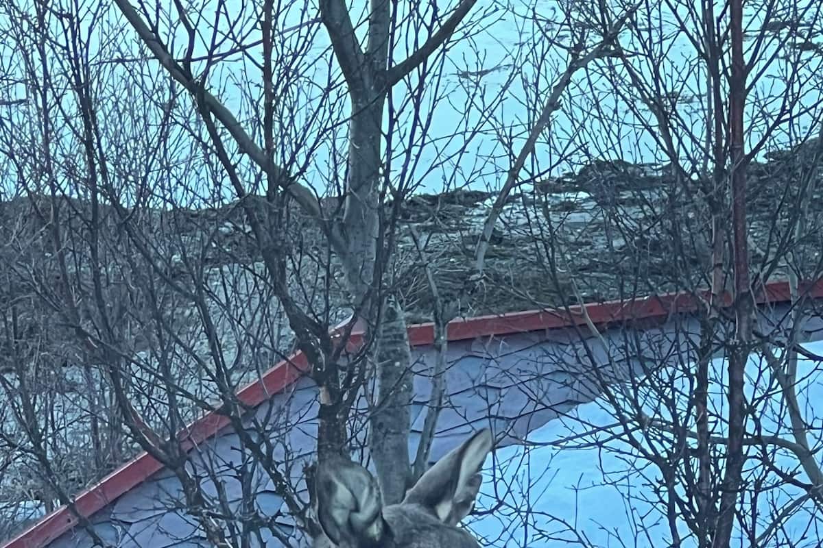 Appartamento Exclusive | Biancheria da letto di alta qualità, materassi a doppio strato