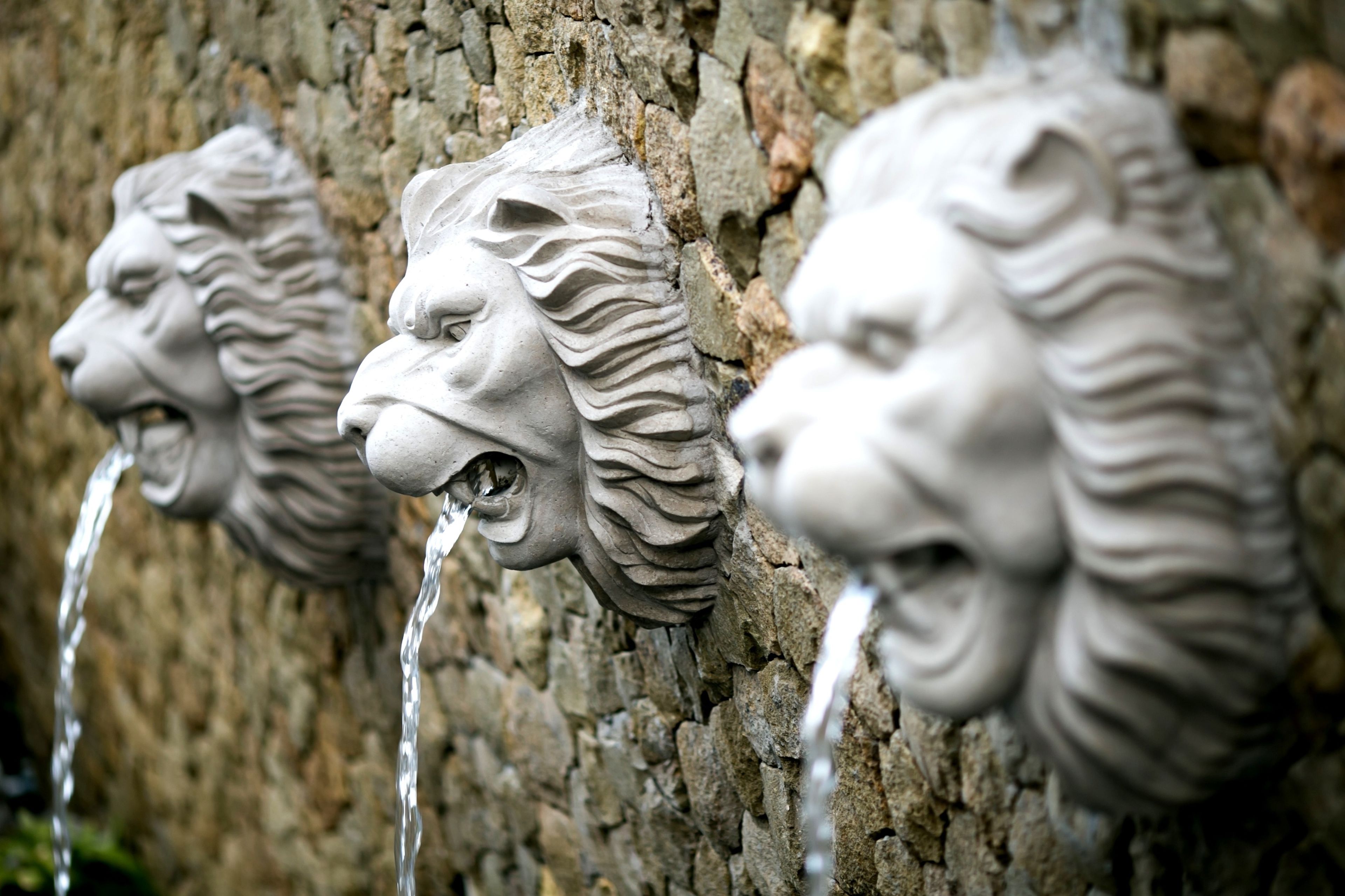 Foto - The Leaf Jimbaran