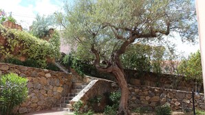 A stone staircase leading up to a building, surrounded by greenery and a tree. - Residence Corte dei Venti (Budoni)