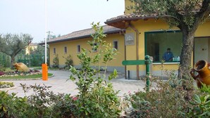 Un edificio amarillo con puerta verde, rodeado de un jardín con rocas y plantas.
