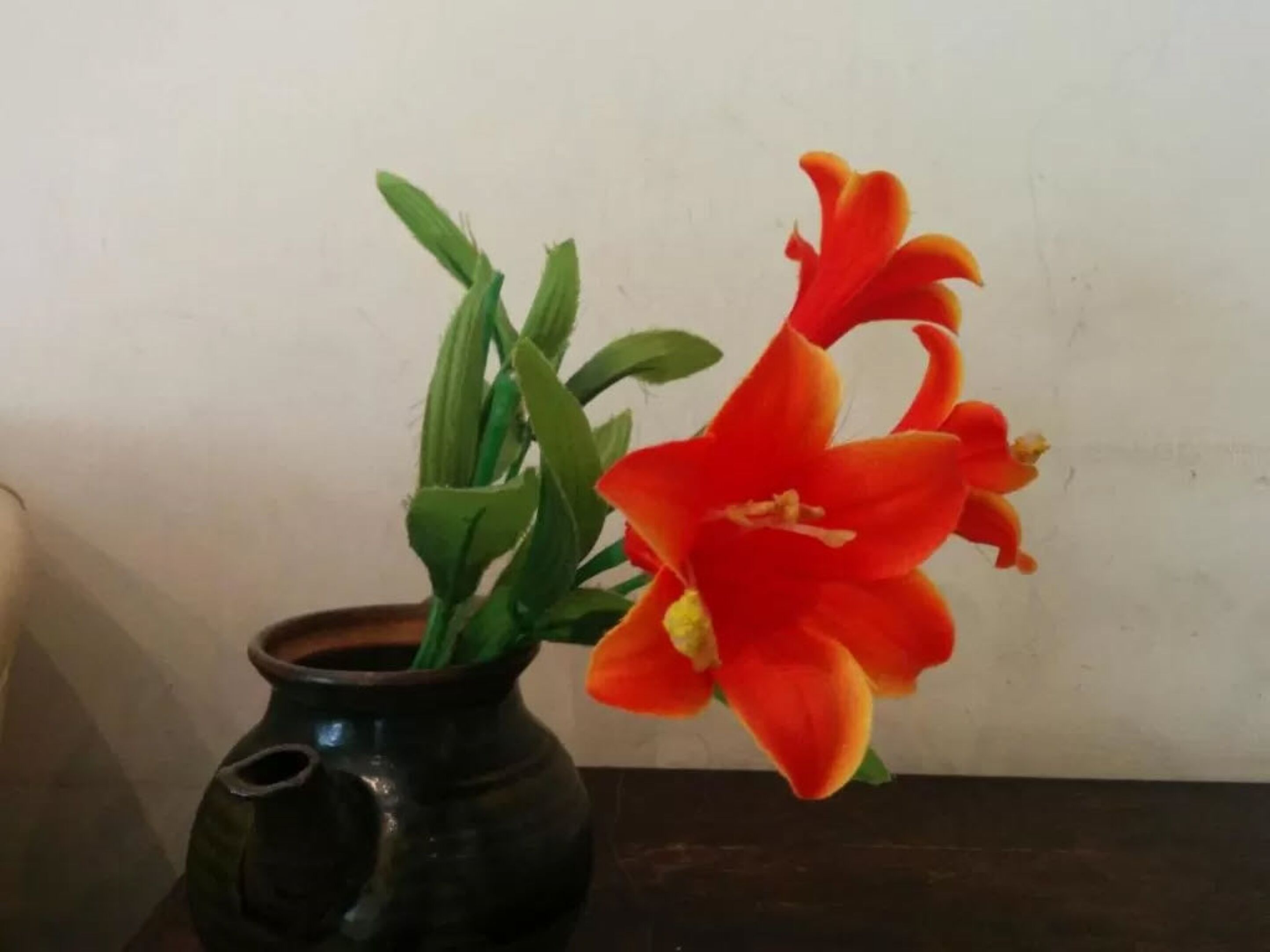 Foto - Ben Yehuda Hotel