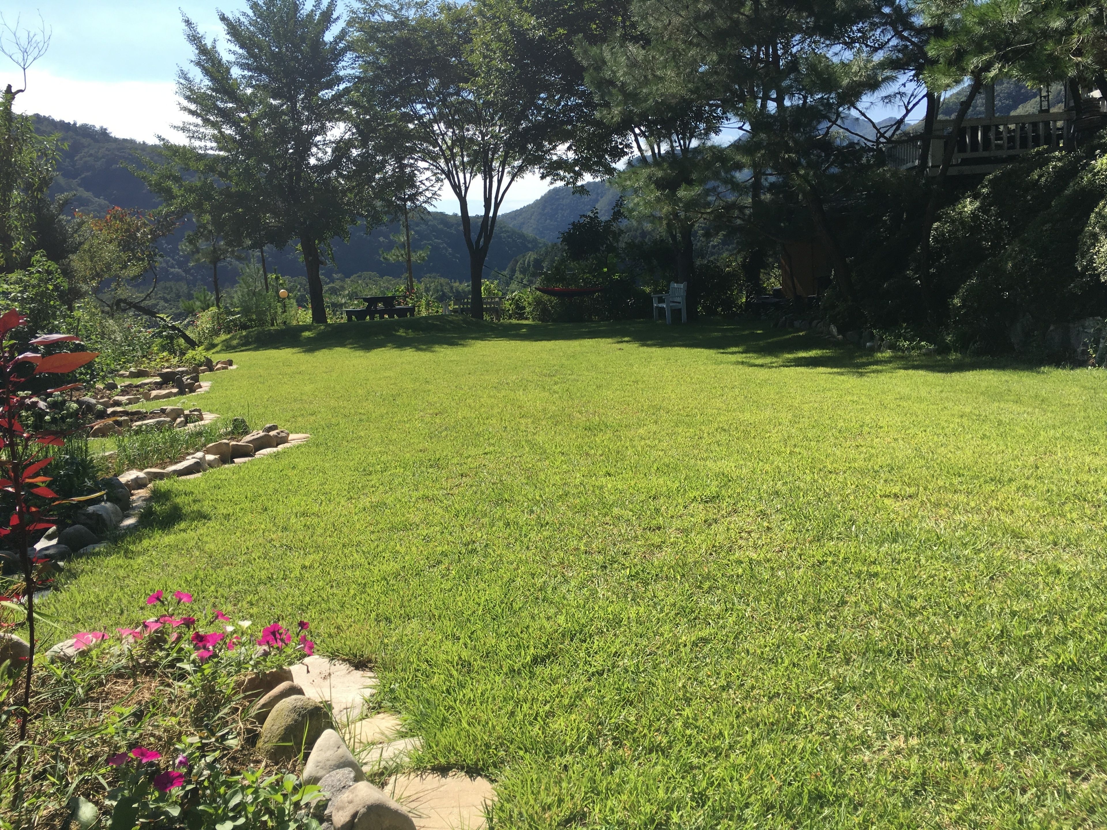A grassy outdoor area with a stone border, trees, and a bench.