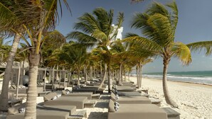 A beachside resort with rows of sun loungers and palm trees, overlooking the ocean.