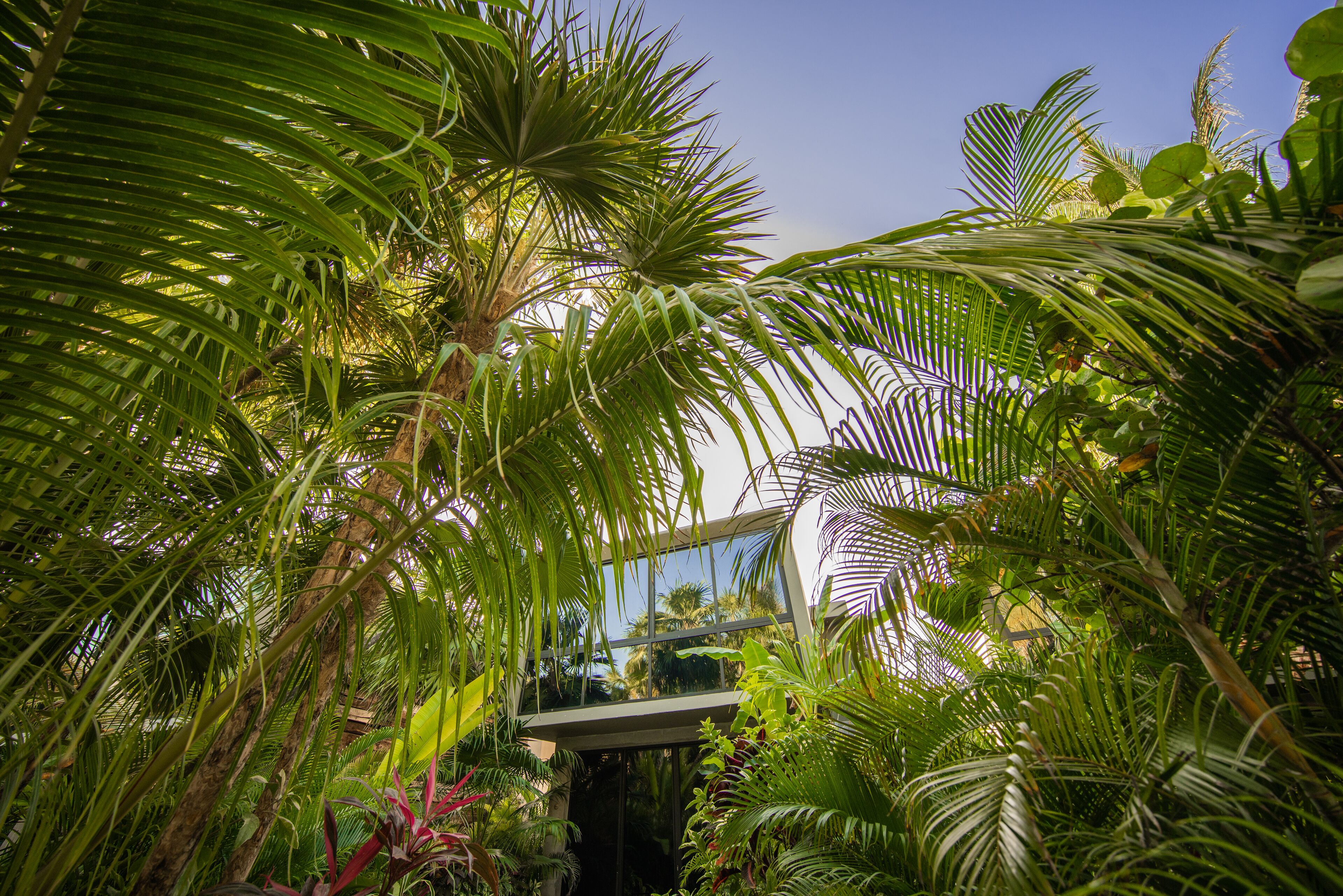 1 bedroom, egyptian cotton sheets, premium bedding, down duvets