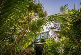 A lush indoor garden with various tropical plants and a glass structure.