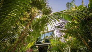 Egyptian cotton sheets, premium bedding, down comforters, pillowtop beds