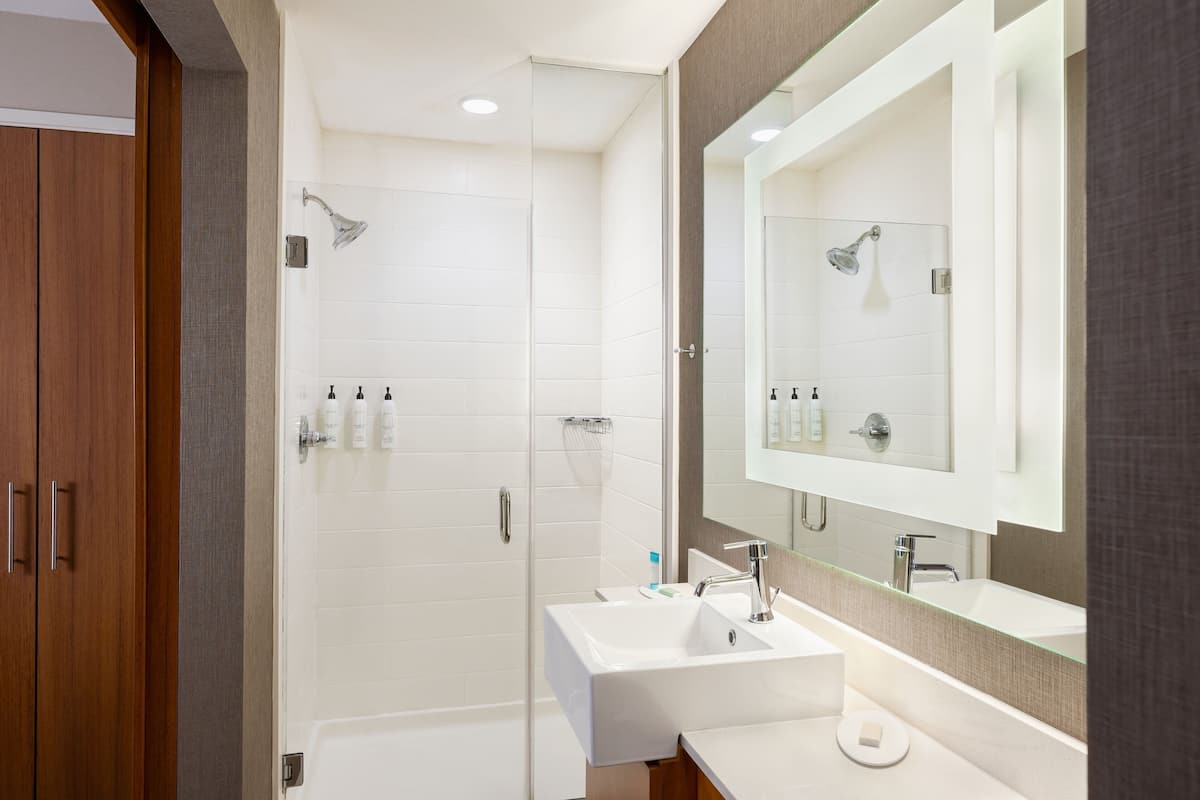 Regadera, amenidades de baño gratuitas, secadora de cabello, toallas