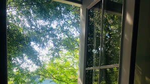 Puerta con vista a un jardín y una cerca de metal.