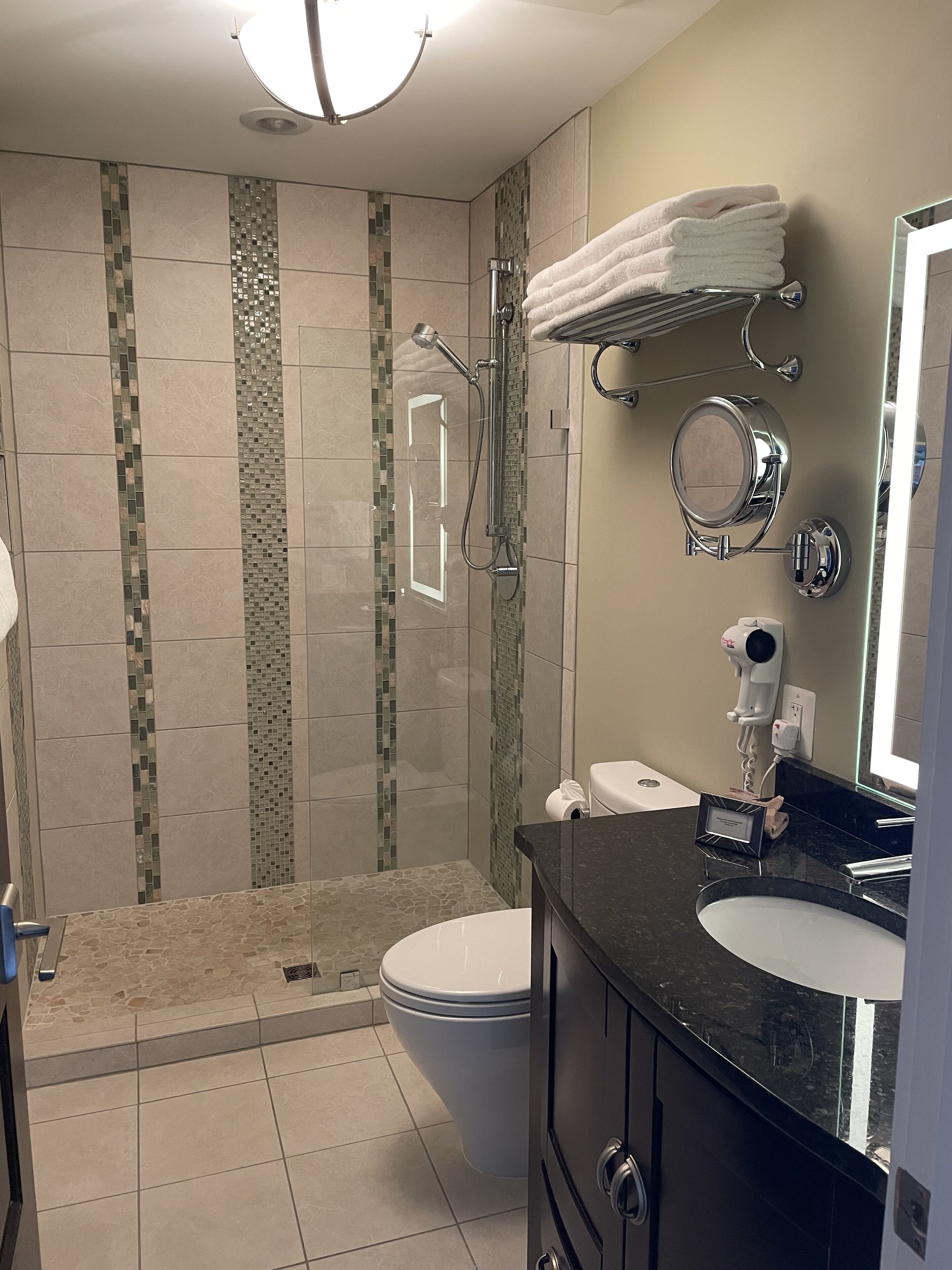 shower, free toiletries, hair dryer, towels