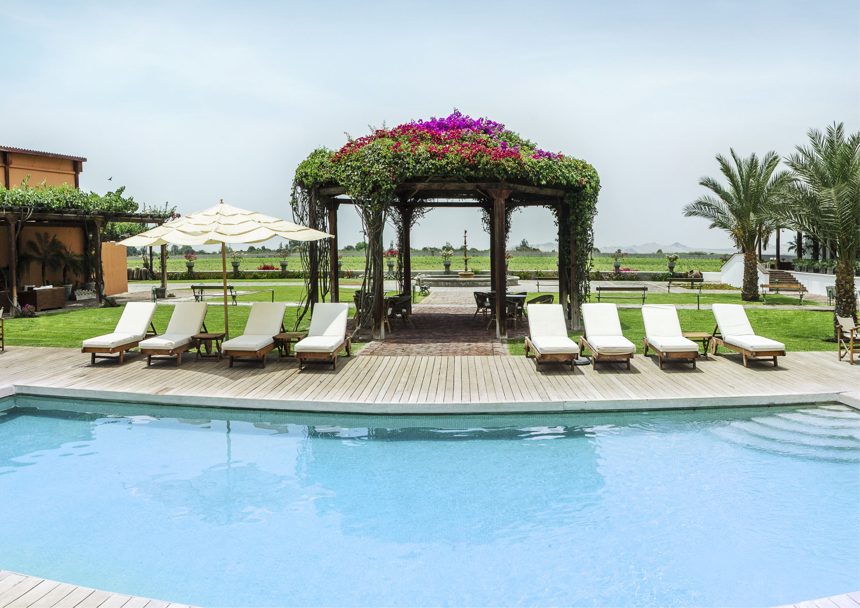 outdoor pool, pool loungers