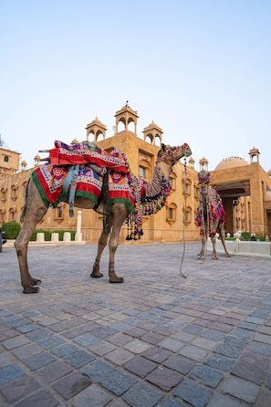 Two camels adorned with colorful decorations in front of a historic building with arched windows and domes. - Chokhi Dhani The Palace Hotel (Jaisalmer)