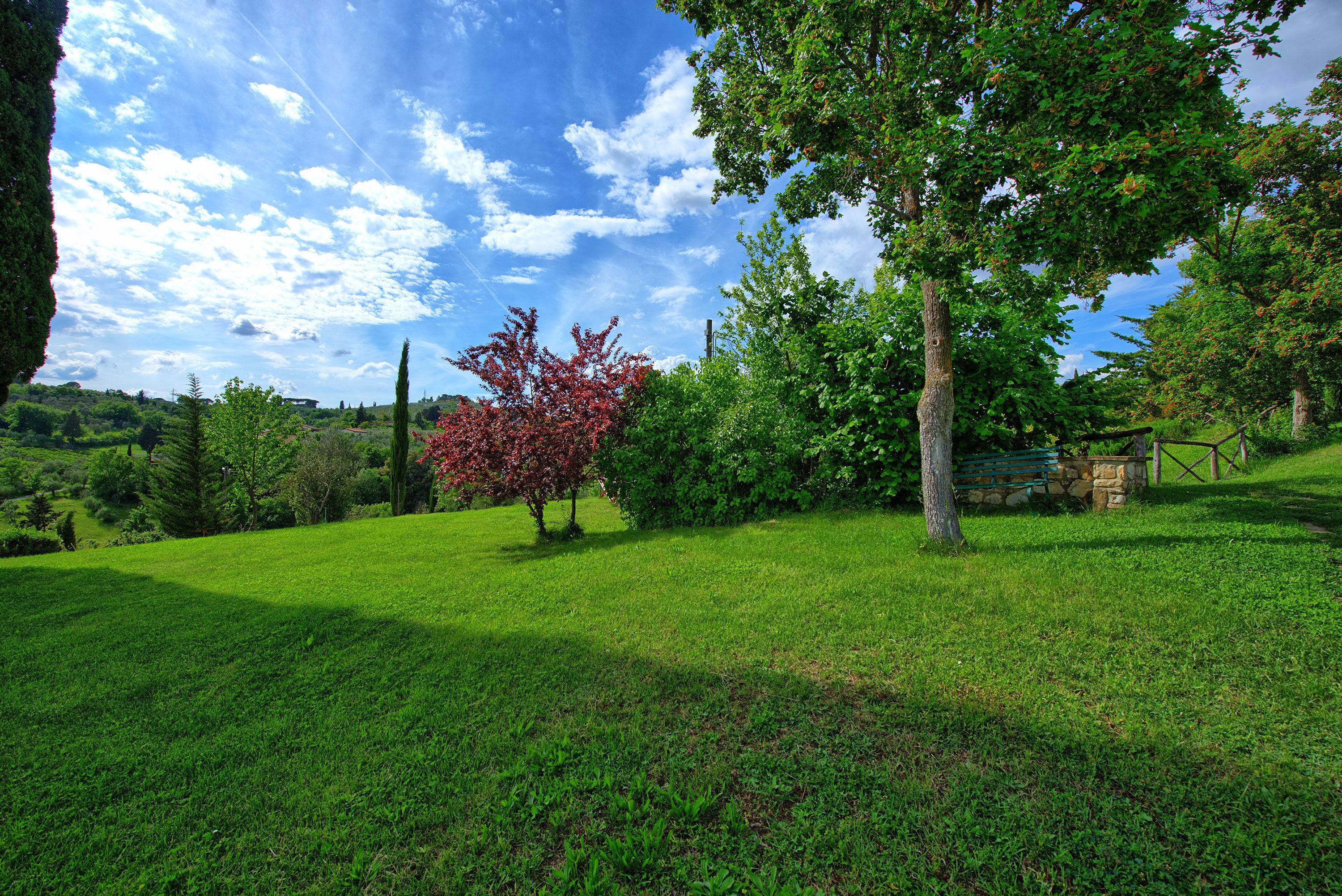 A lush green landscape with a stone wall and a tree with red leaves.