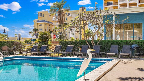Un área de piscina con sillones de descanso y un ave blanca junto a la piscina.