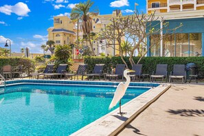A pool area with lounge chairs and a white bird standing by the pool. - Malibu Resort Motel (North Redington Beach)
