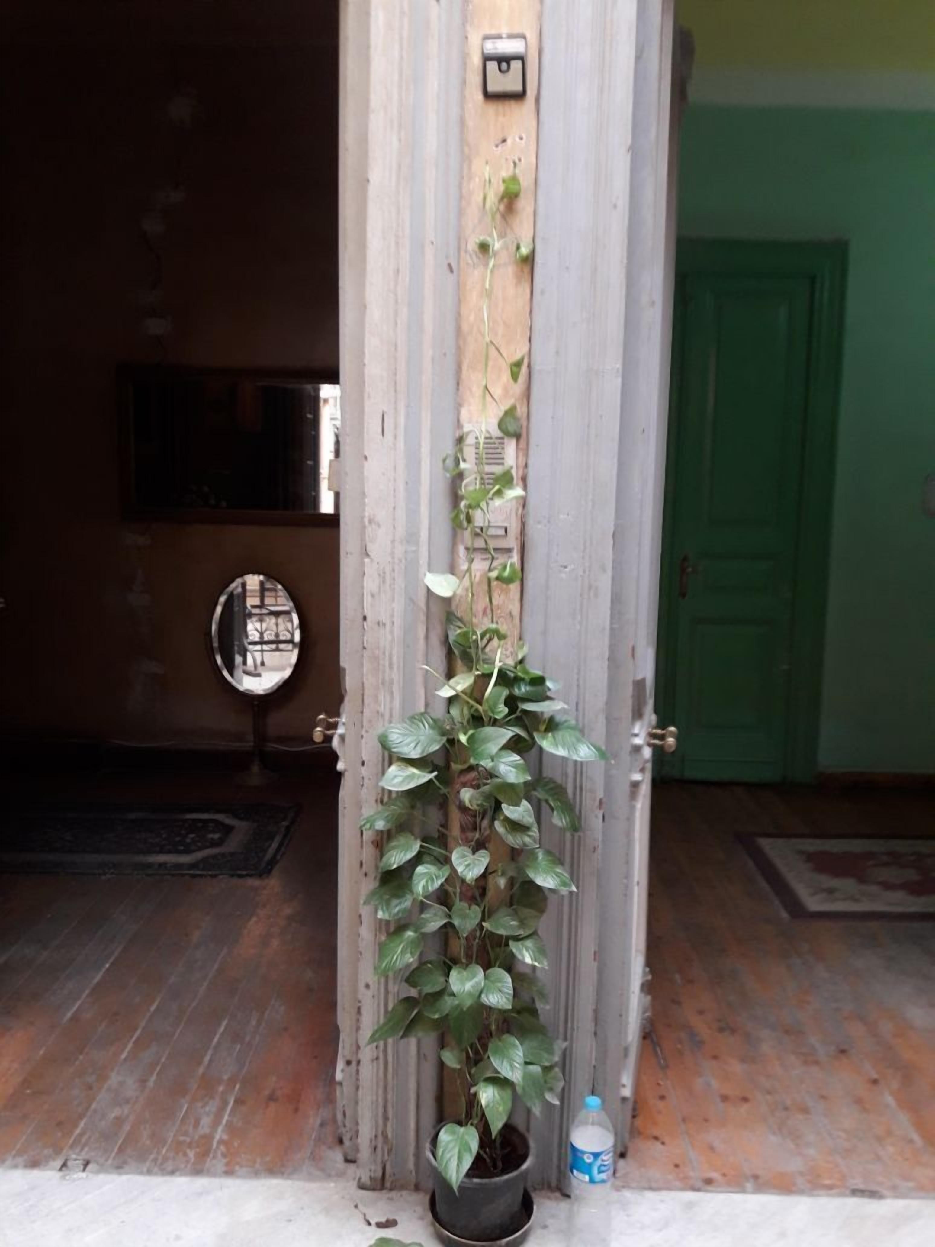 Photo - Berlin Hotel