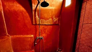Une petite salle de bain aux tons rouges, équipée d’une douche, de toilettes et d’un miroir.