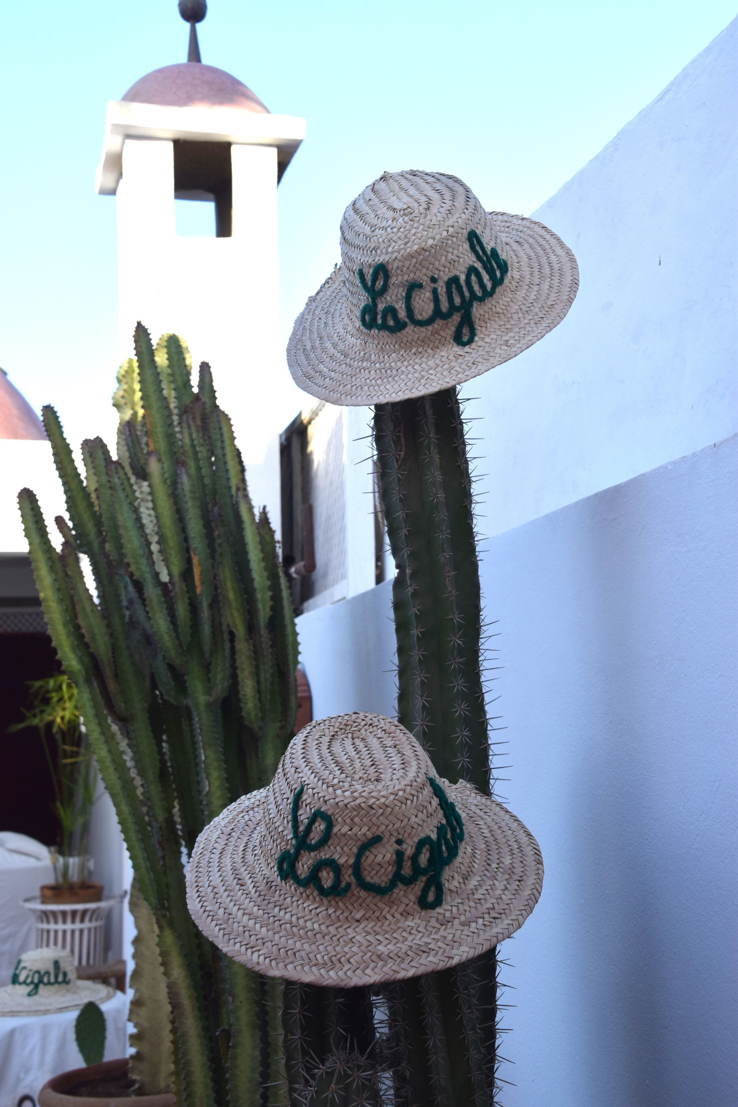 Foto - Riad la Cigale