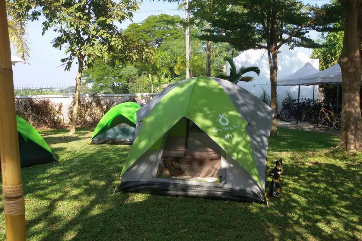 Economy Tent | Free WiFi