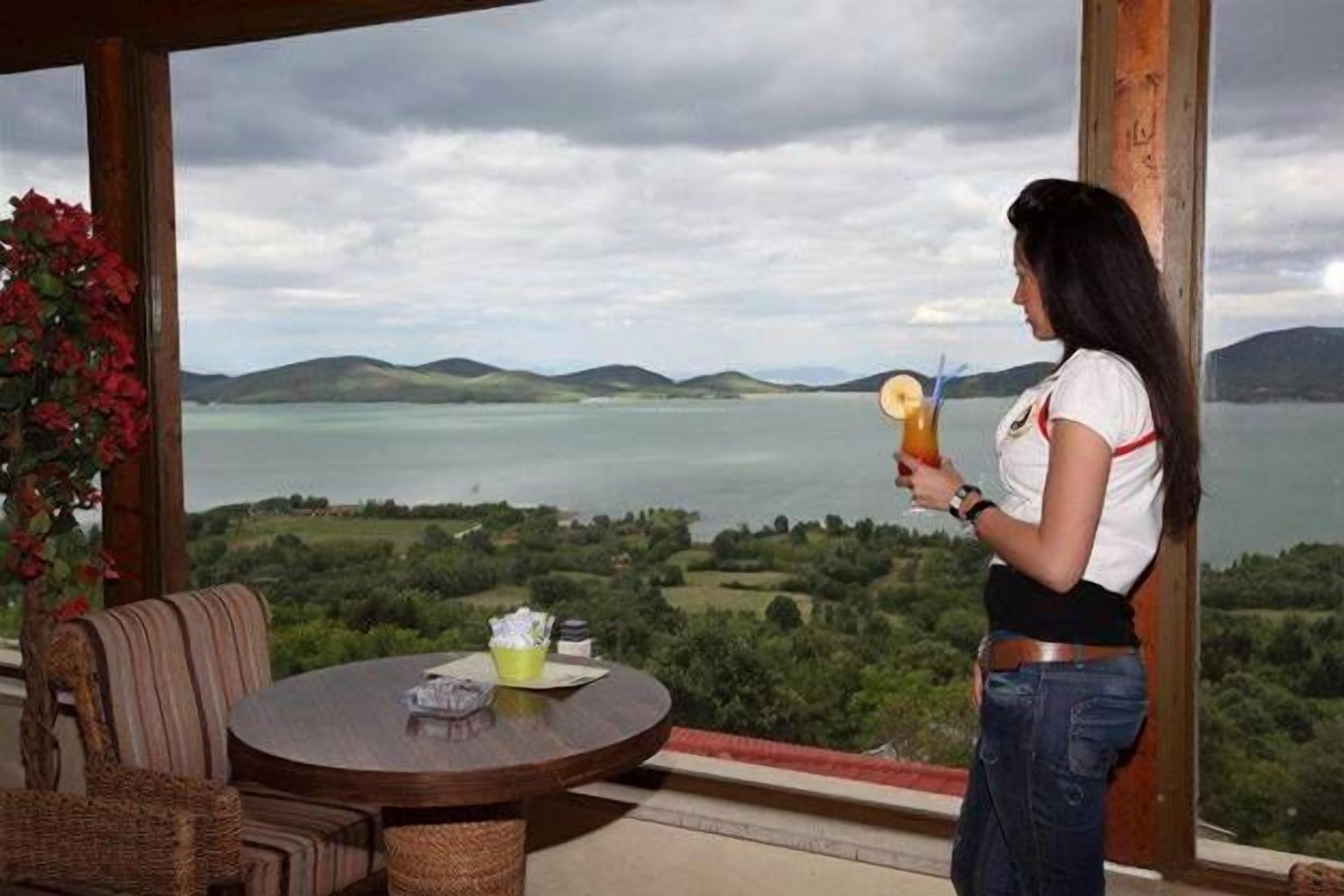 A woman standing by a window overlooking a lake, with a table and chairs inside.