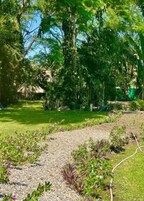 Un jardín con un sendero de grava, césped verde y diversas plantas.