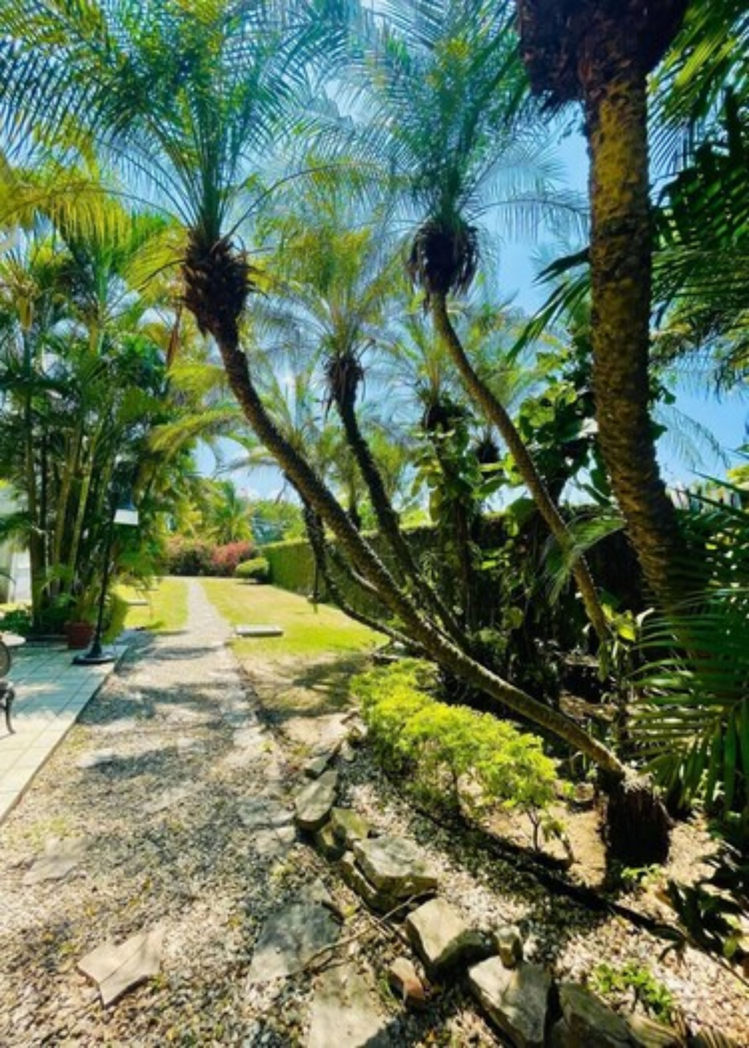 standard room | terrace/patio