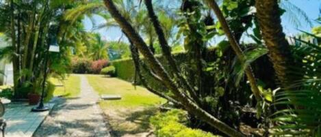 A pathway lined with palm trees and greenery, leading to a building.