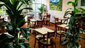 A restaurant with wooden tables and chairs, large windows, and potted plants. - Metrotel Express (San Pedro Sula)
