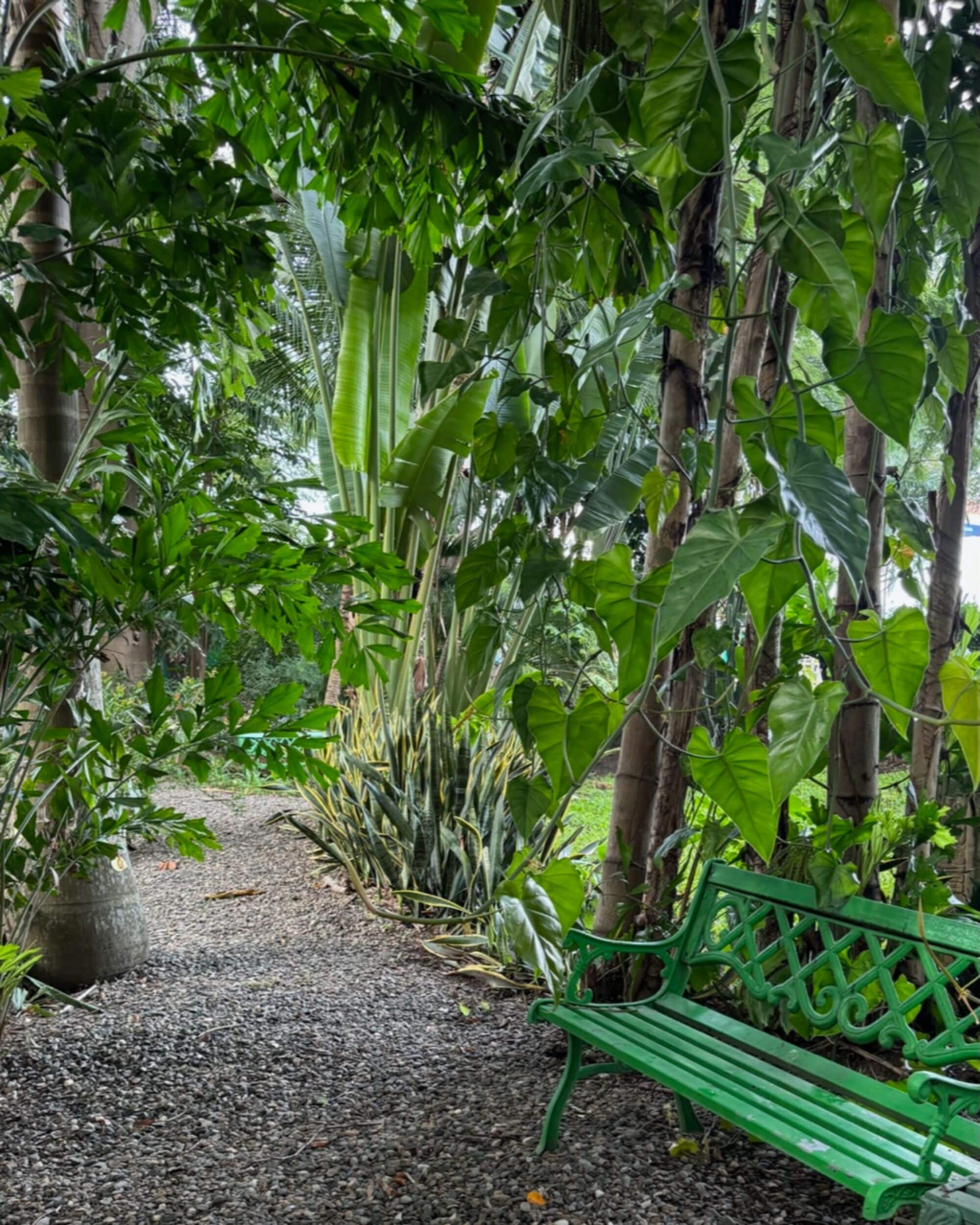 Foto - Metrotel Express