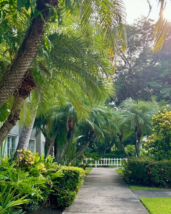 Exterior - Metrotel Express (San Pedro Sula)