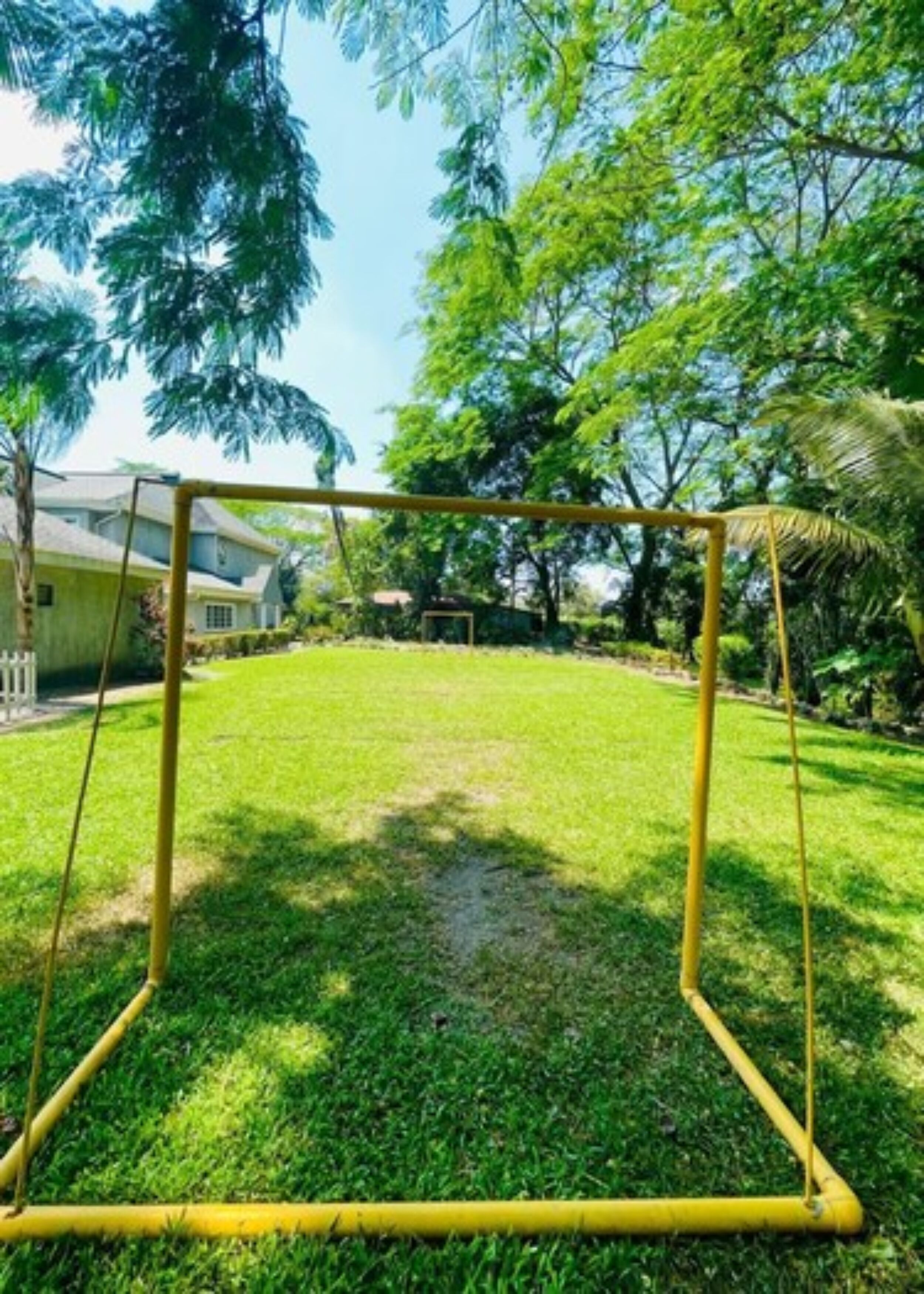 A grassy yard with a yellow swing set.