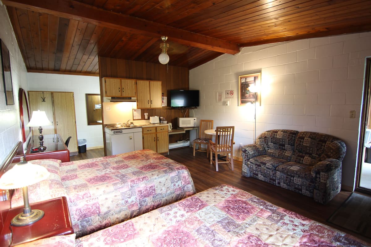 Una habitación acogedora con dos camas, televisión, kitchenette y un sofá estampado.