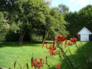 Khuôn viên nơi lưu trú