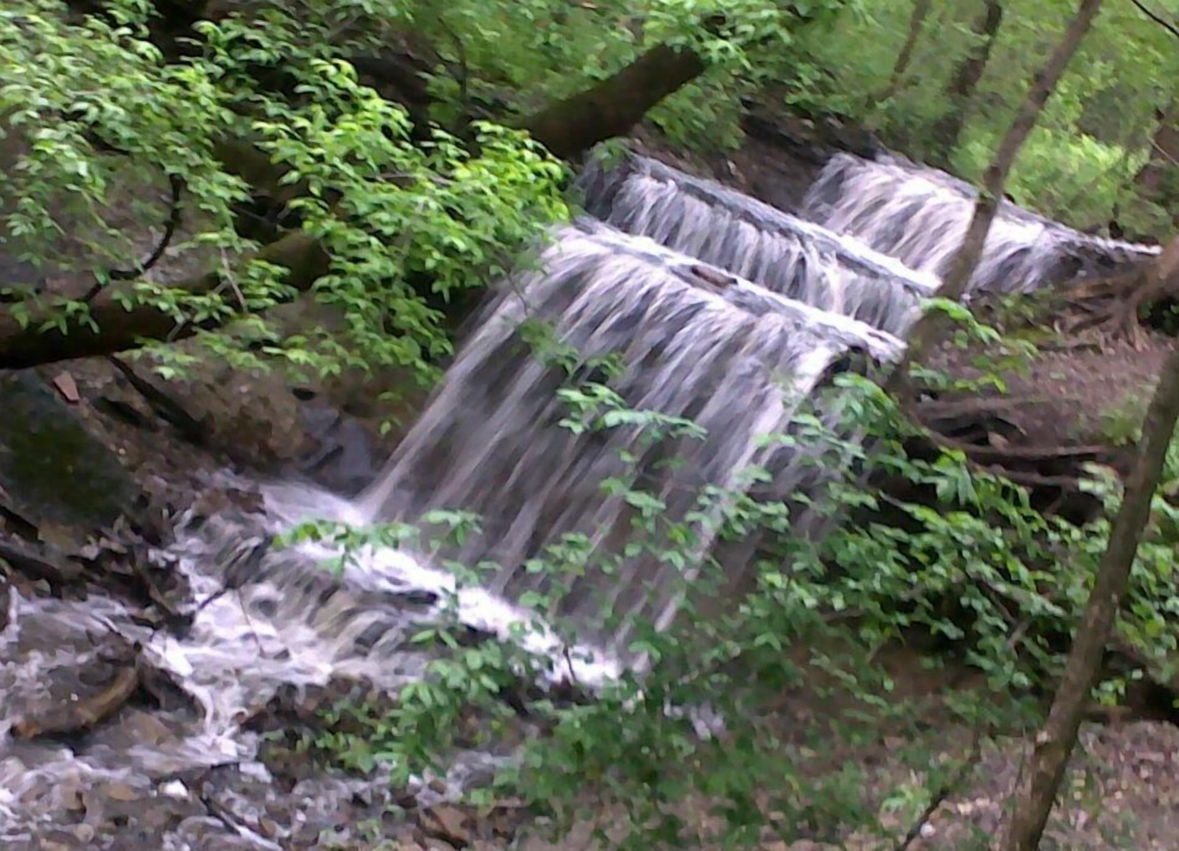 A waterfall cascading over rocks in a forested area.
