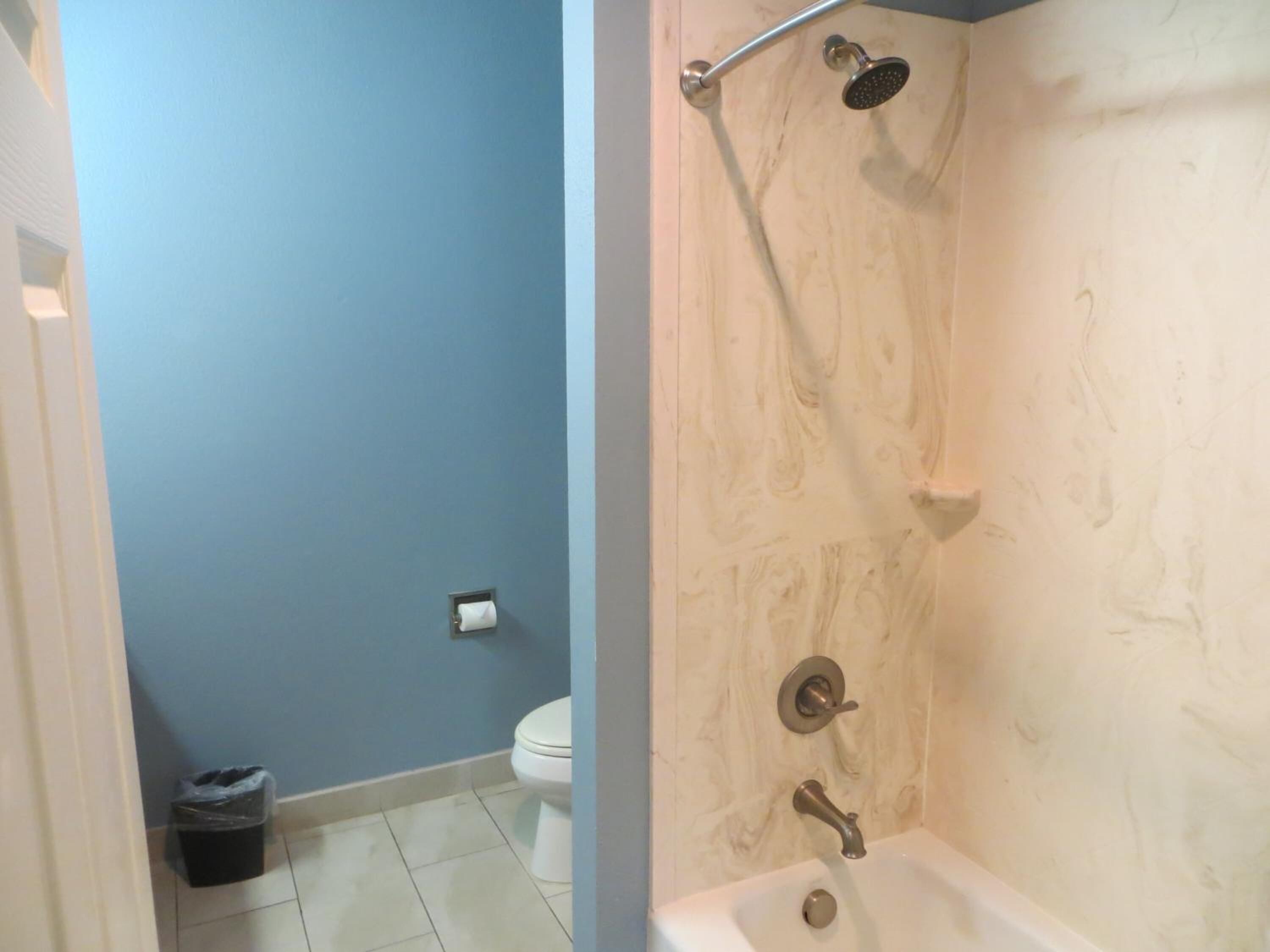 combined shower/bathtub, free toiletries, hair dryer, towels