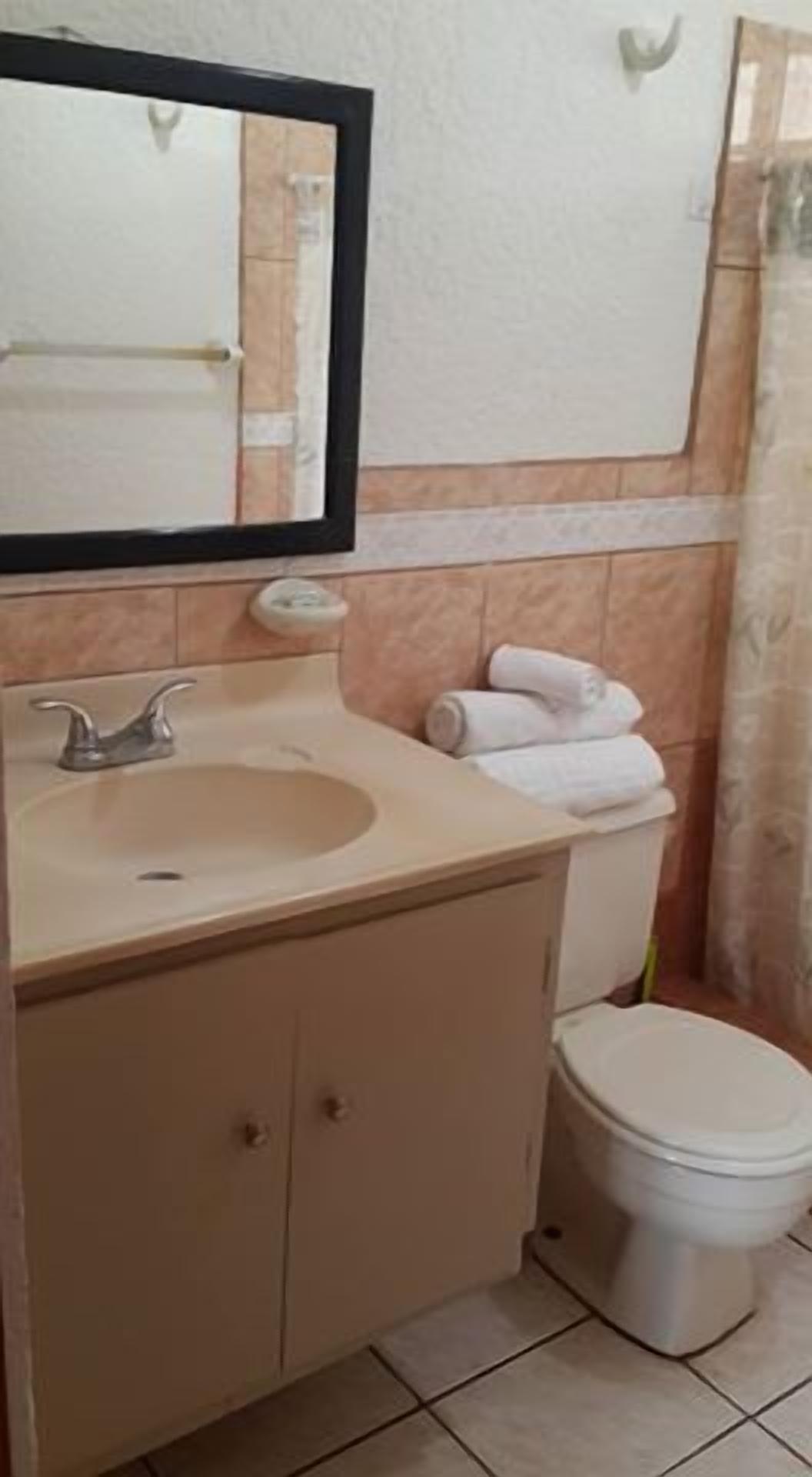 A bathroom with a sink, mirror, toilet, and towel rack.