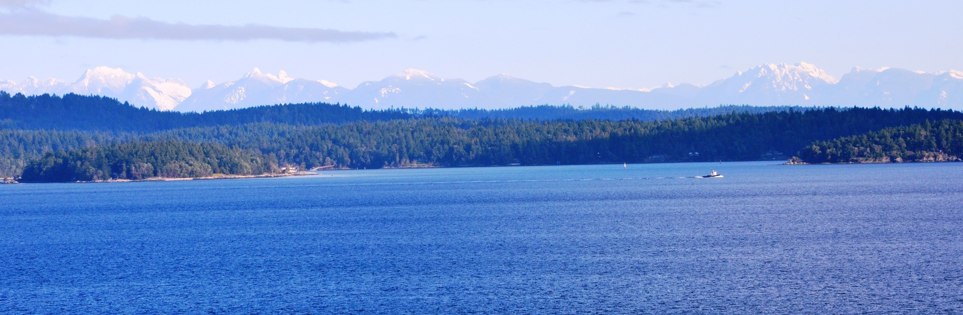 A large body of water with a forested shoreline and mountains in the background.