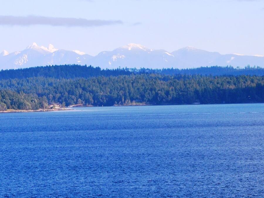 A large body of water with a forested shoreline and mountains in the background.