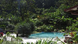 A swimming pool surrounded by lush greenery and a small building structure.