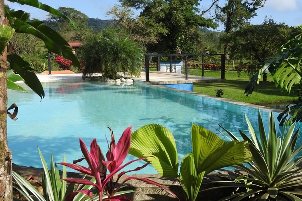 Outdoor pool, open 2:00 PM to 5:30 PM, sun loungers