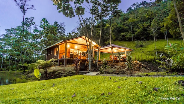 A wooden cabin with a covered porch, surrounded by lush greenery and a hillside.