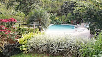 Outdoor pool, open 2:00 PM to 5:30 PM, sun loungers