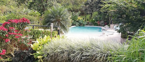 Piscine extérieure, chaises longues